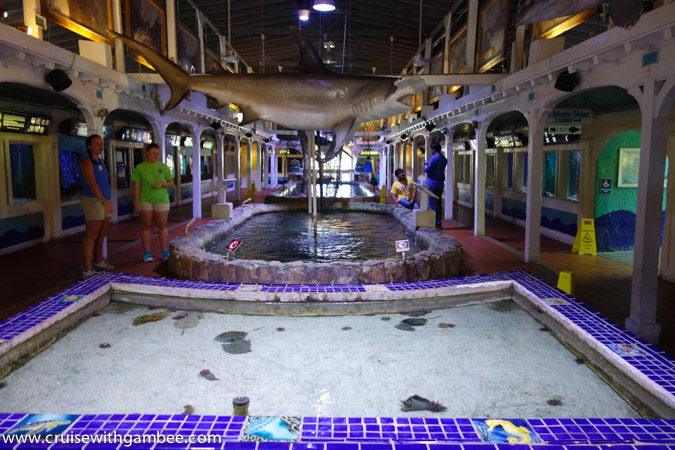 Key West Aquarium